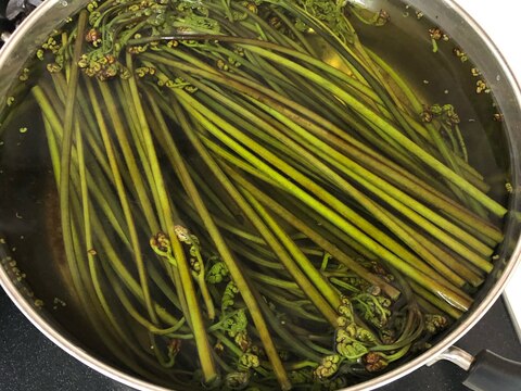 重曹で簡単に。ワラビのアク抜き♪